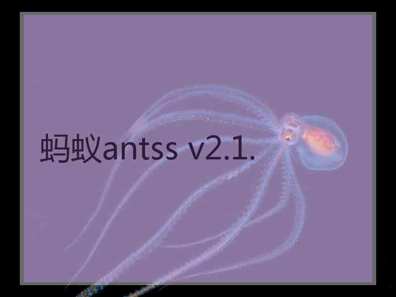 蚂蚁antss v2.1.