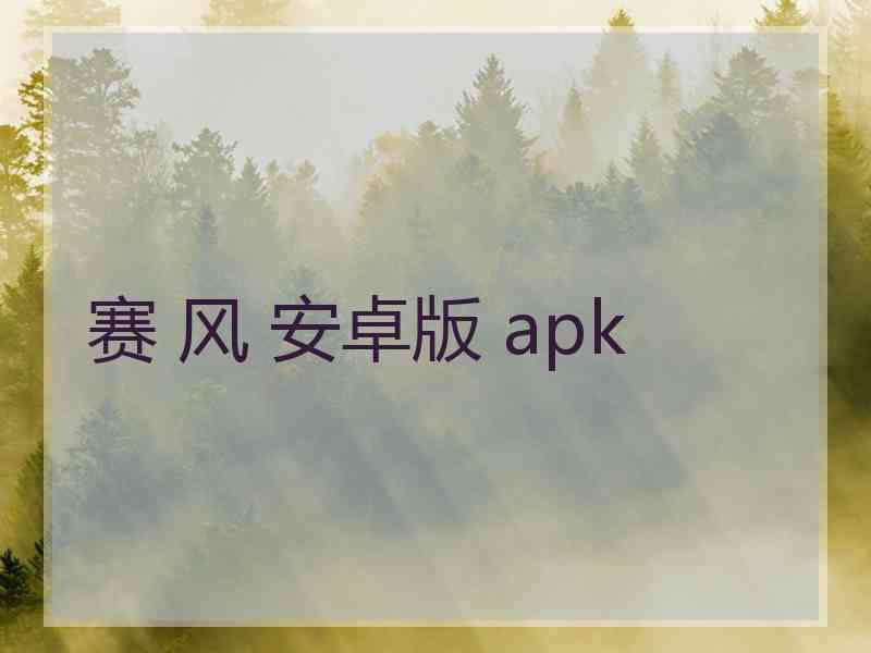 赛 风 安卓版 apk