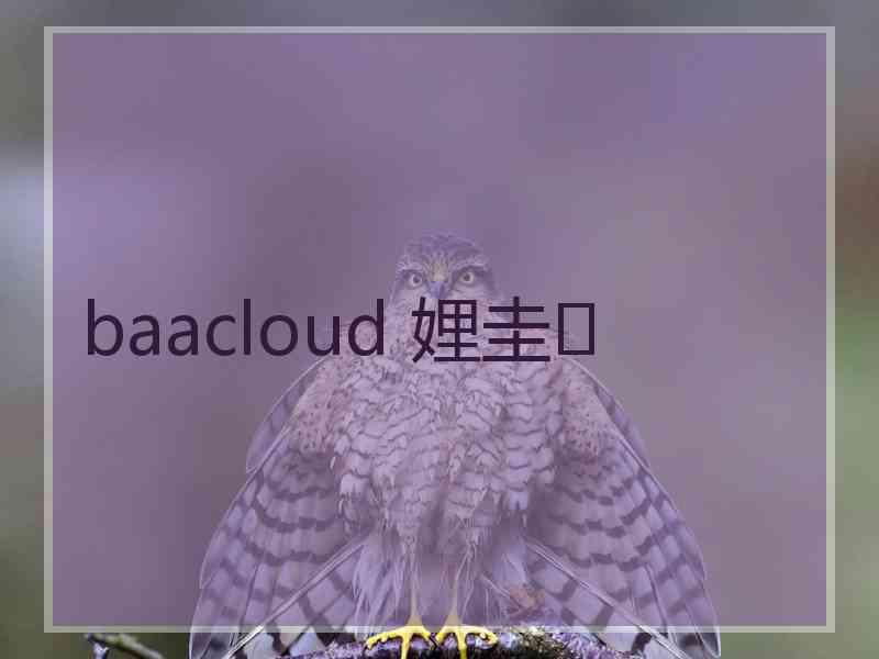 baacloud 娌圭