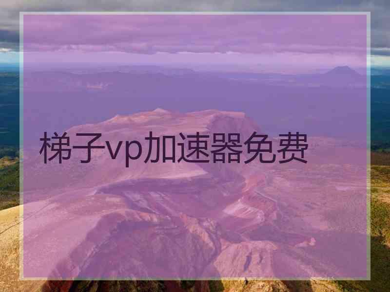 梯子vp加速器免费