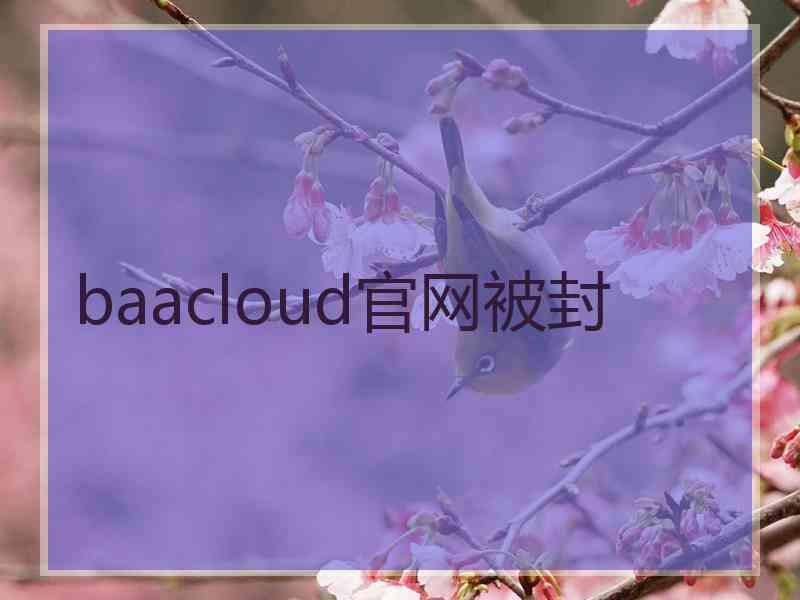 baacloud官网被封