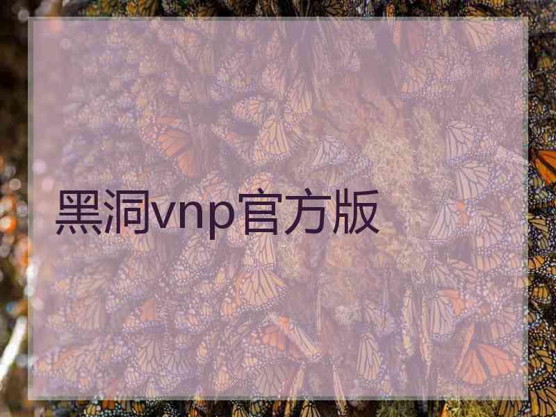 黑洞vnp官方版