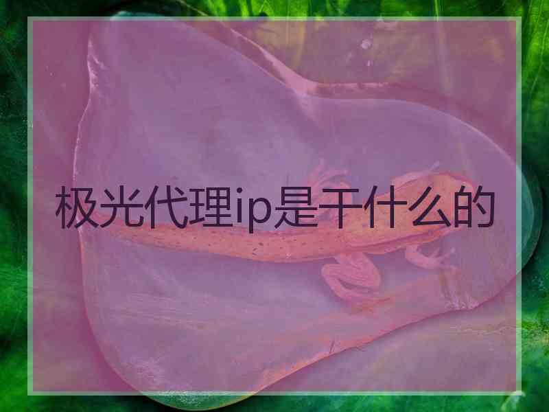 极光代理ip是干什么的