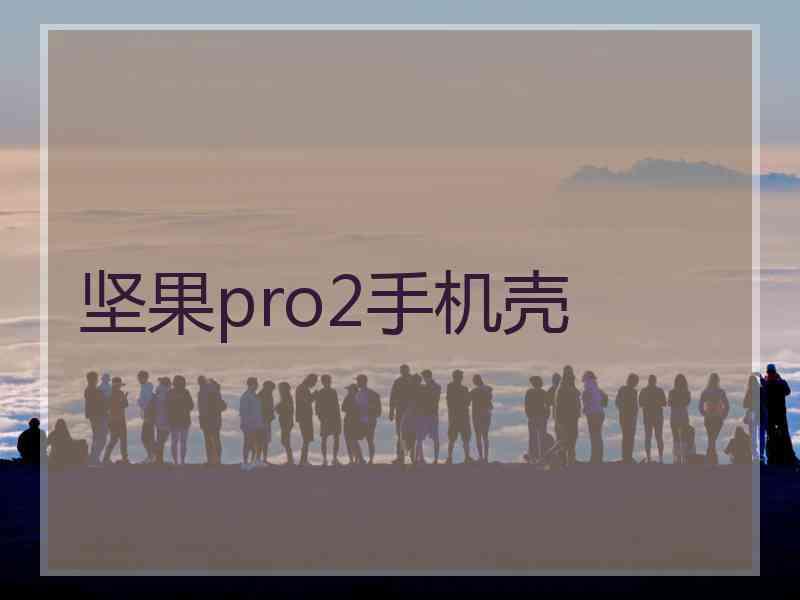 坚果pro2手机壳