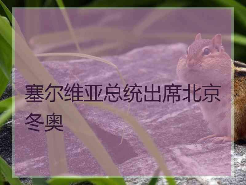 塞尔维亚总统出席北京冬奥