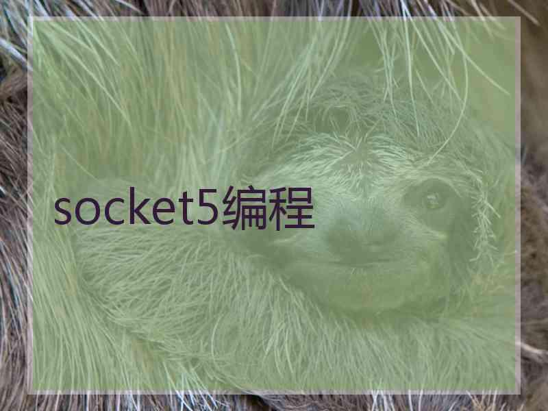 socket5编程