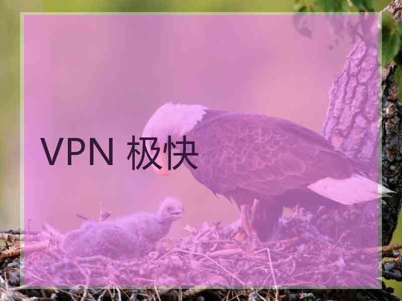 VPN 极快