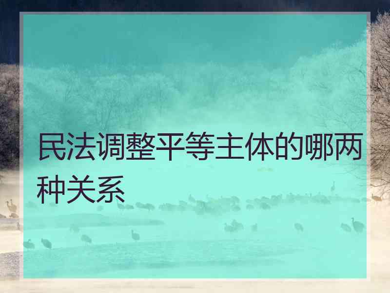 民法调整平等主体的哪两种关系