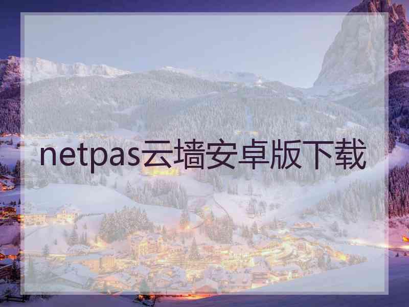 netpas云墙安卓版下载