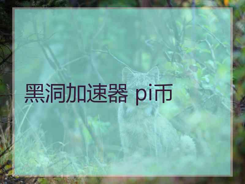 黑洞加速器 pi币