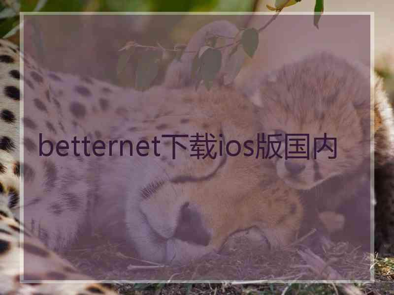 betternet下载ios版国内