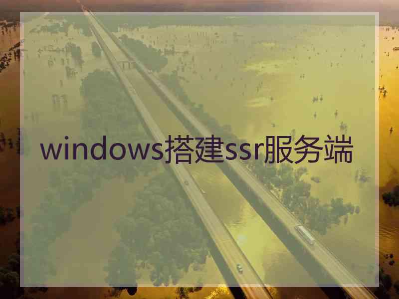 windows搭建ssr服务端