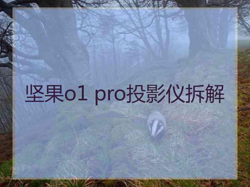 坚果o1 pro投影仪拆解