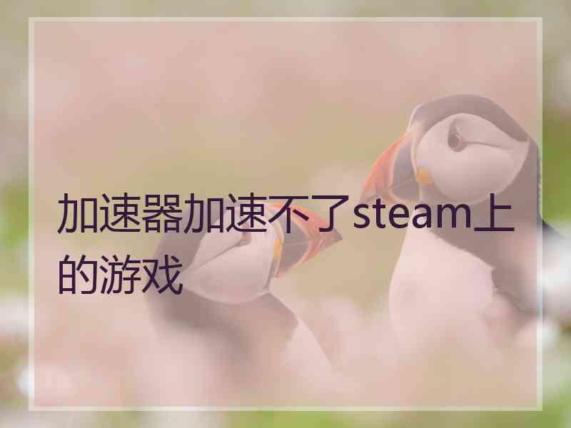 加速器加速不了steam上的游戏