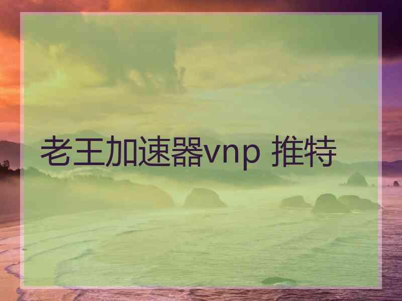 老王加速器vnp 推特