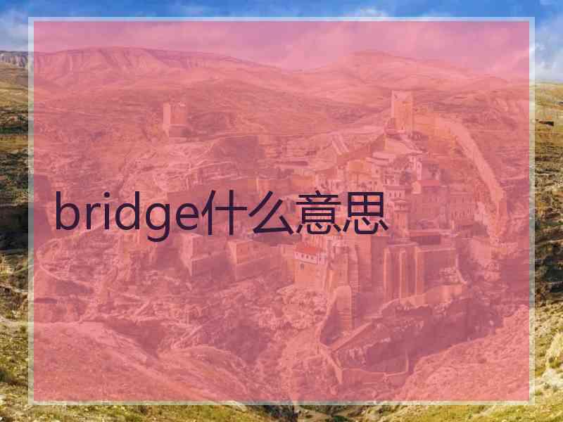 bridge什么意思