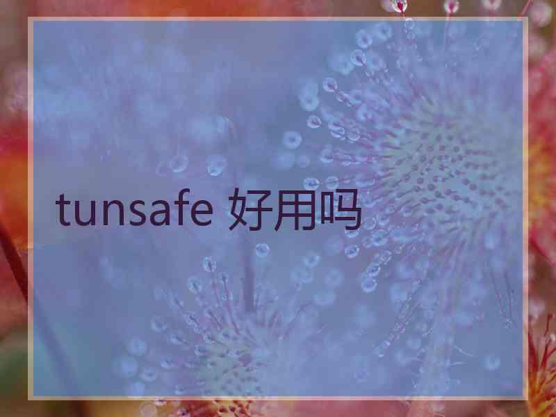 tunsafe 好用吗