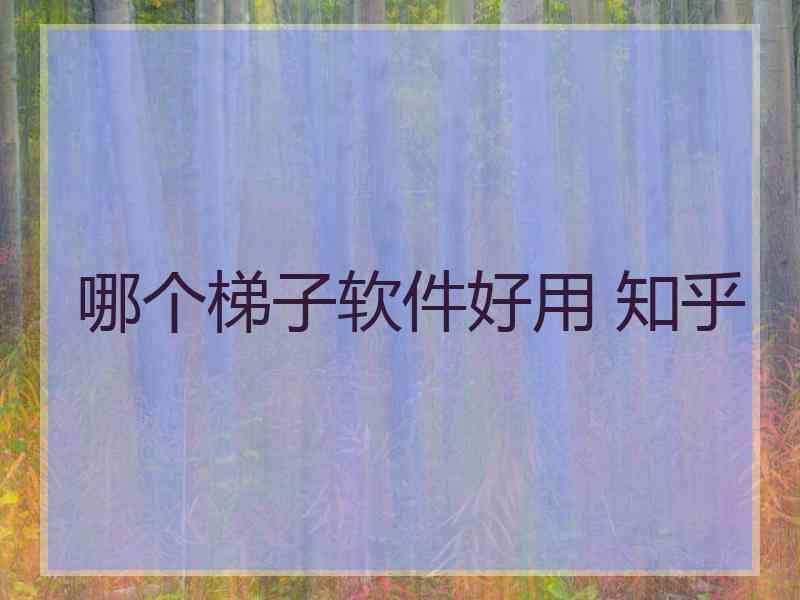 哪个梯子软件好用 知乎