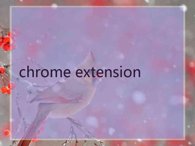 chrome extension