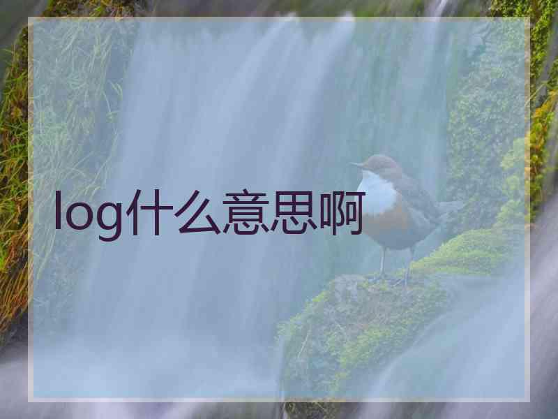 log什么意思啊