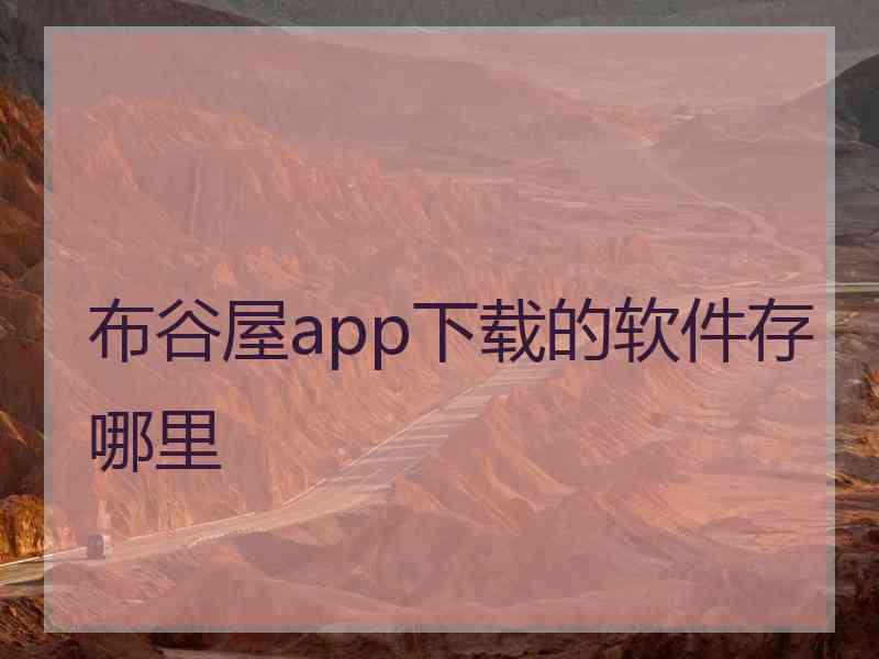 布谷屋app下载的软件存哪里