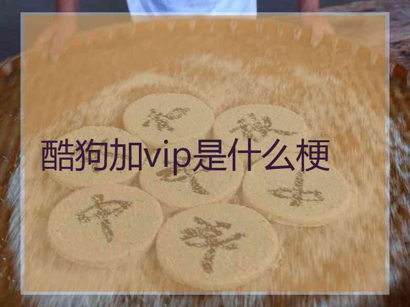 酷狗加vip是什么梗