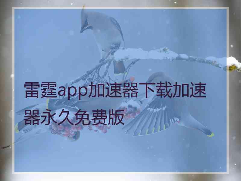 雷霆app加速器下载加速器永久免费版