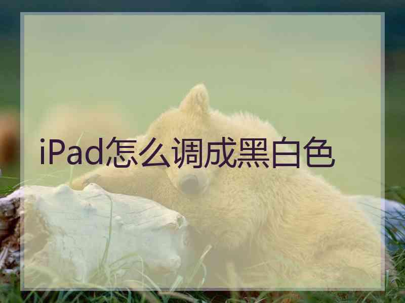 iPad怎么调成黑白色