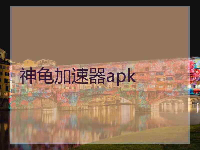 神龟加速器apk