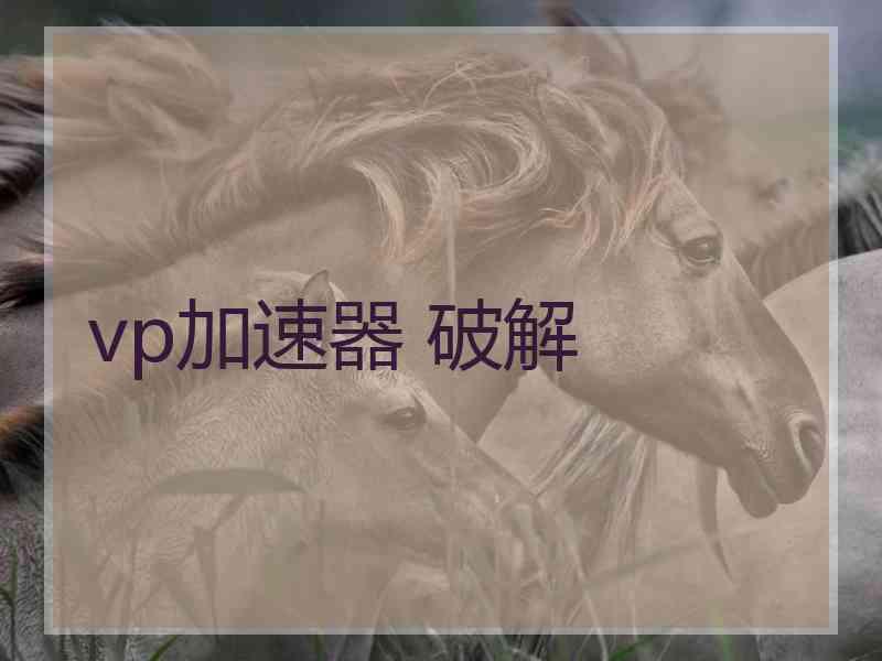 vp加速器 破解