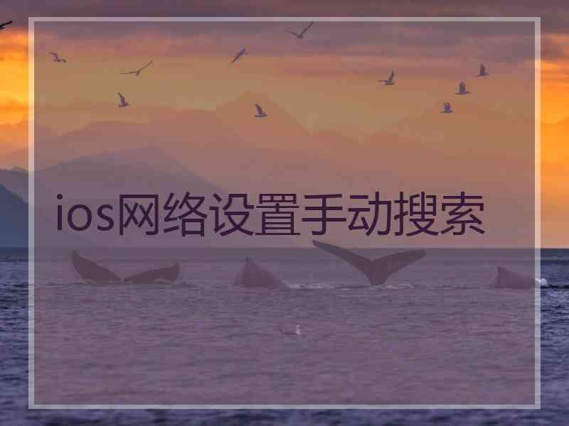 ios网络设置手动搜索