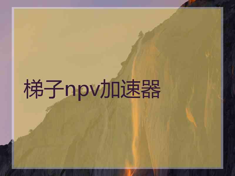 梯子npv加速器