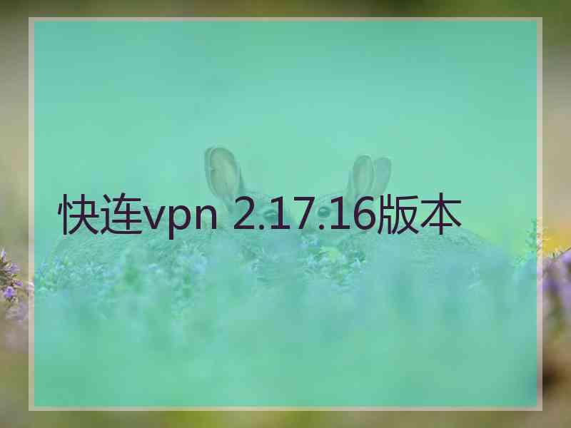 快连vpn 2.17.16版本