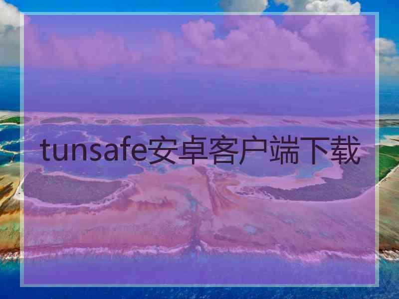 tunsafe安卓客户端下载