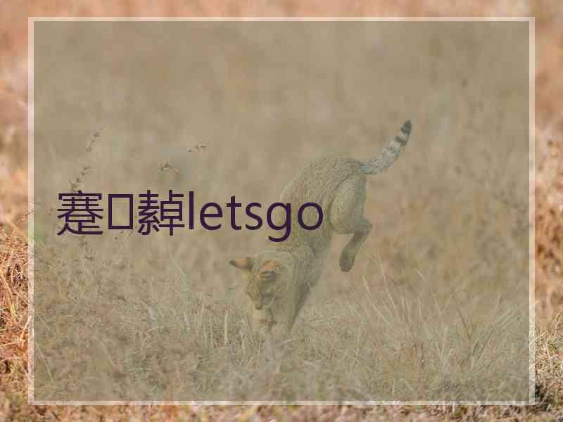 蹇繛letsgo