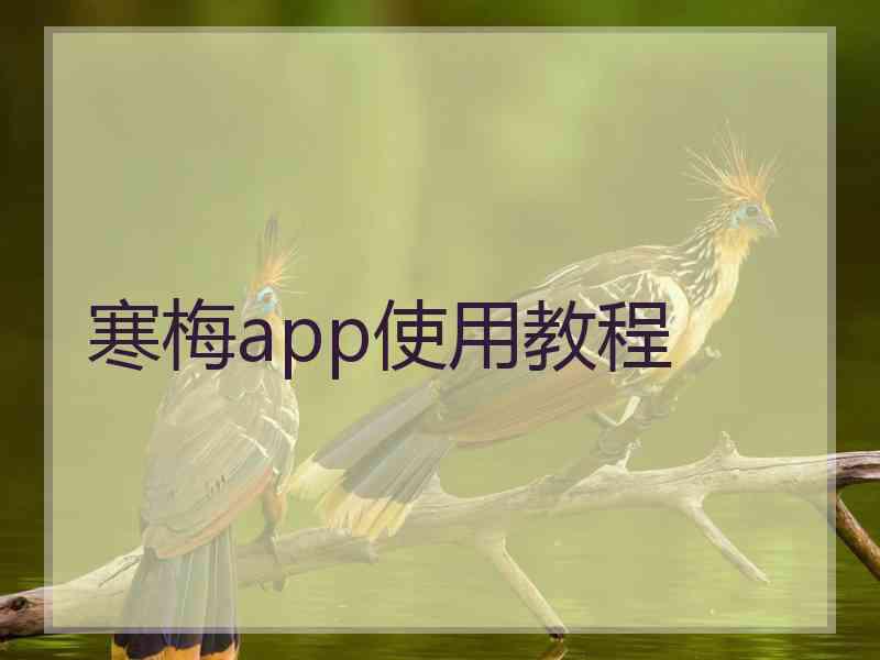 寒梅app使用教程