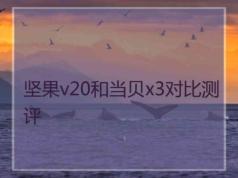 坚果v20和当贝x3对比测评