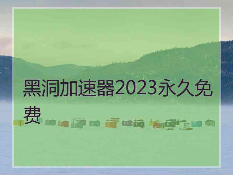 黑洞加速器2023永久免费