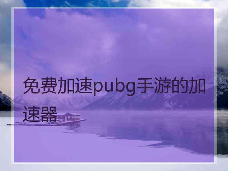 免费加速pubg手游的加速器