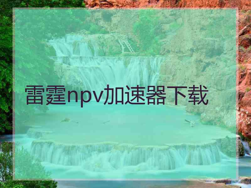 雷霆npv加速器下载