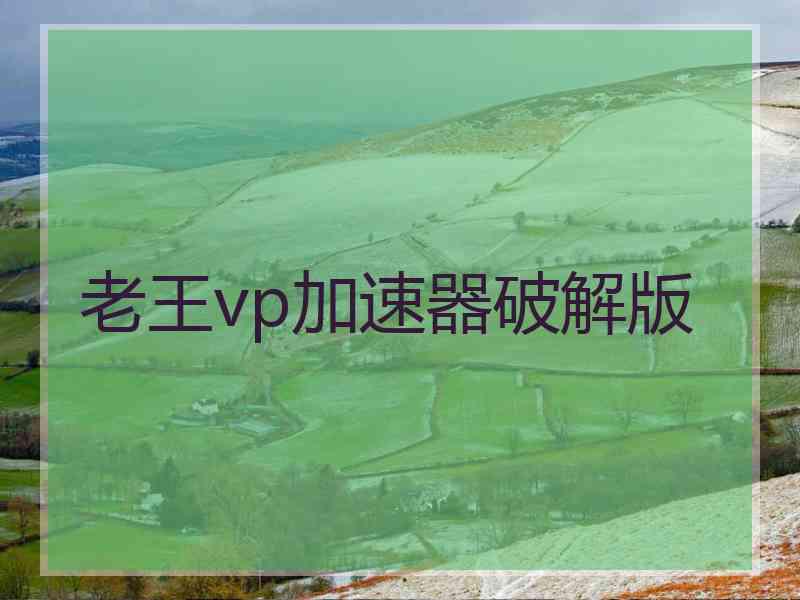 老王vp加速器破解版