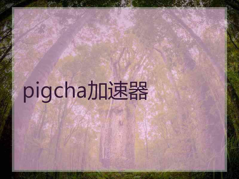 pigcha加速器